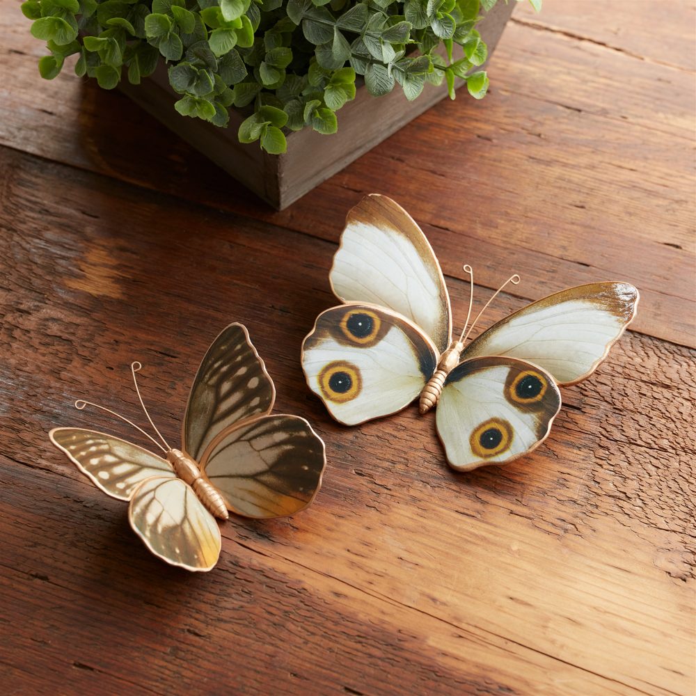 Set de Dos Mariposas Tonos Naturales