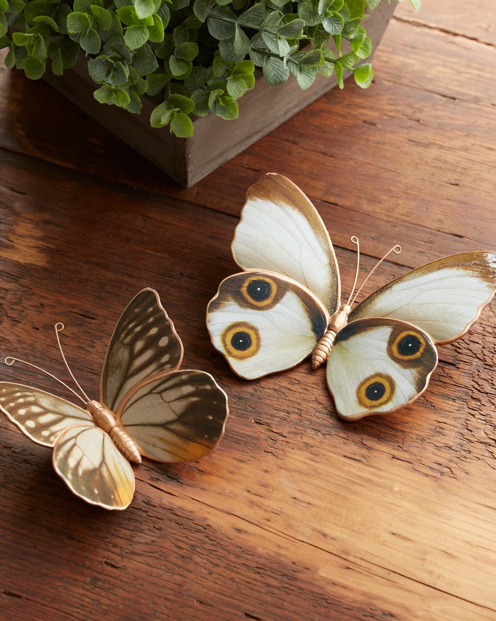 Set de Dos Mariposas Tonos Naturales