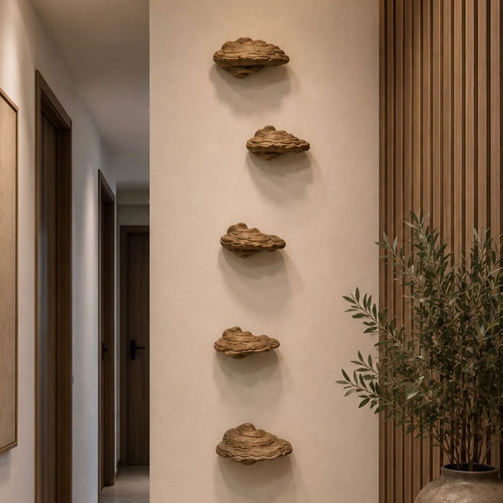 Set de 5 Hongos Fungi Naturales de Pared