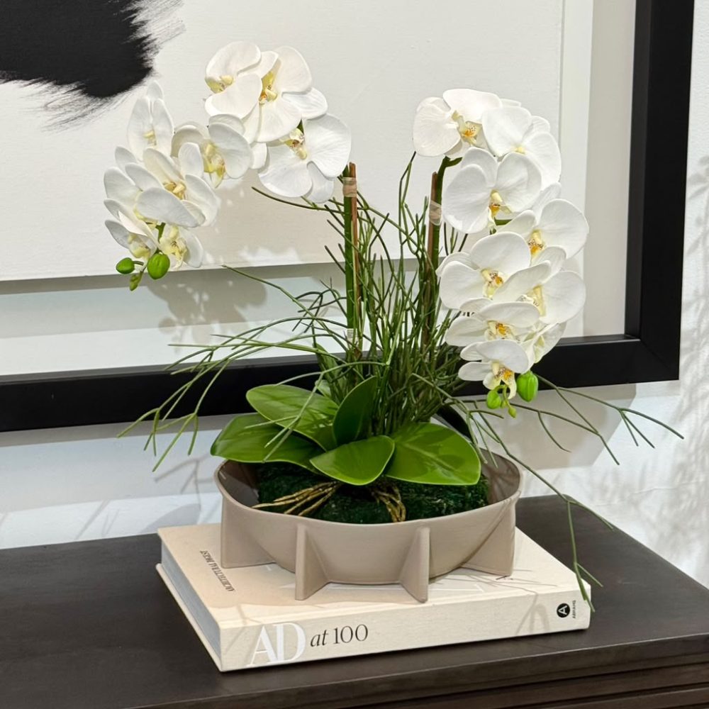 Orquideario x2 en Base Color Beige