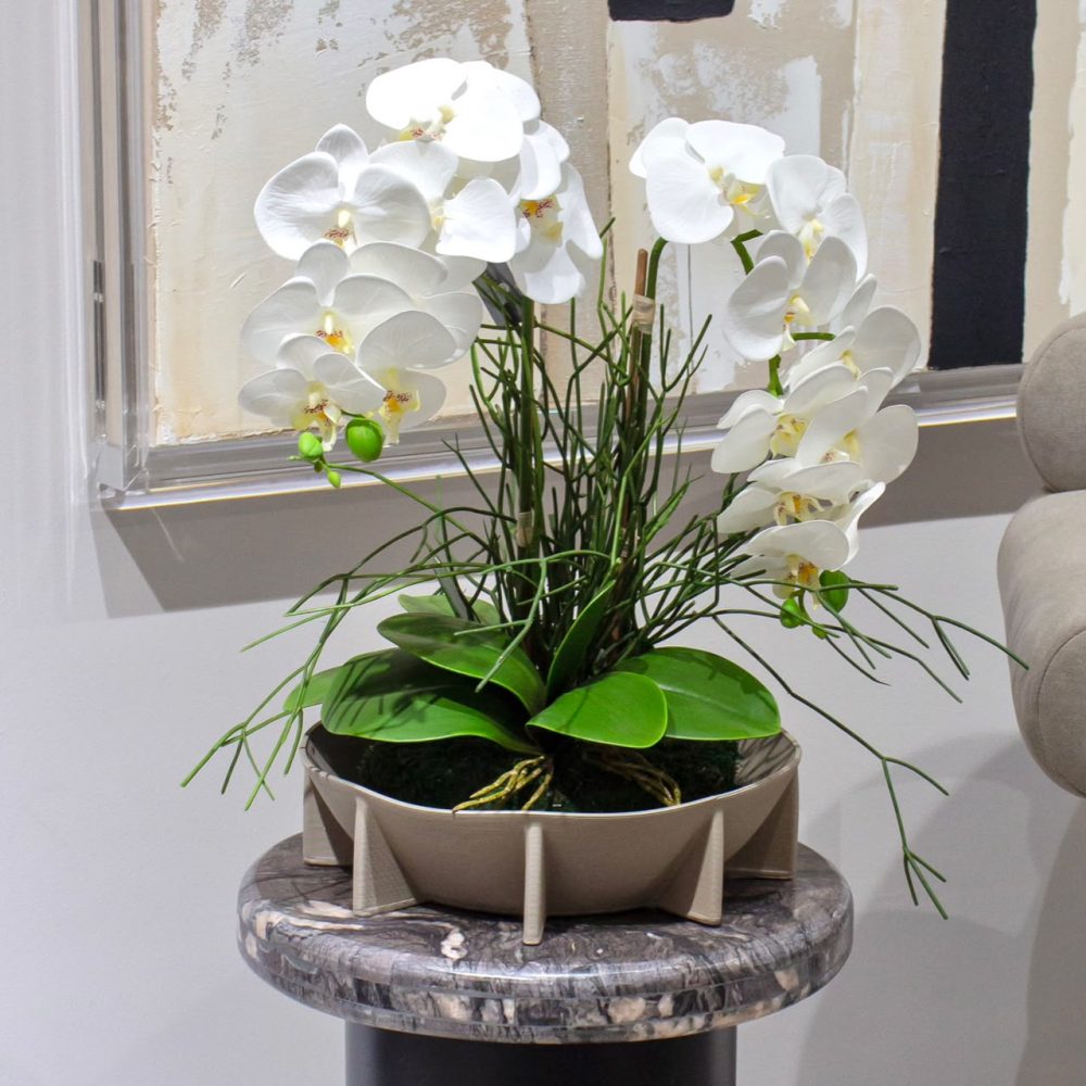 Orquideario x2 en Base Color Beige